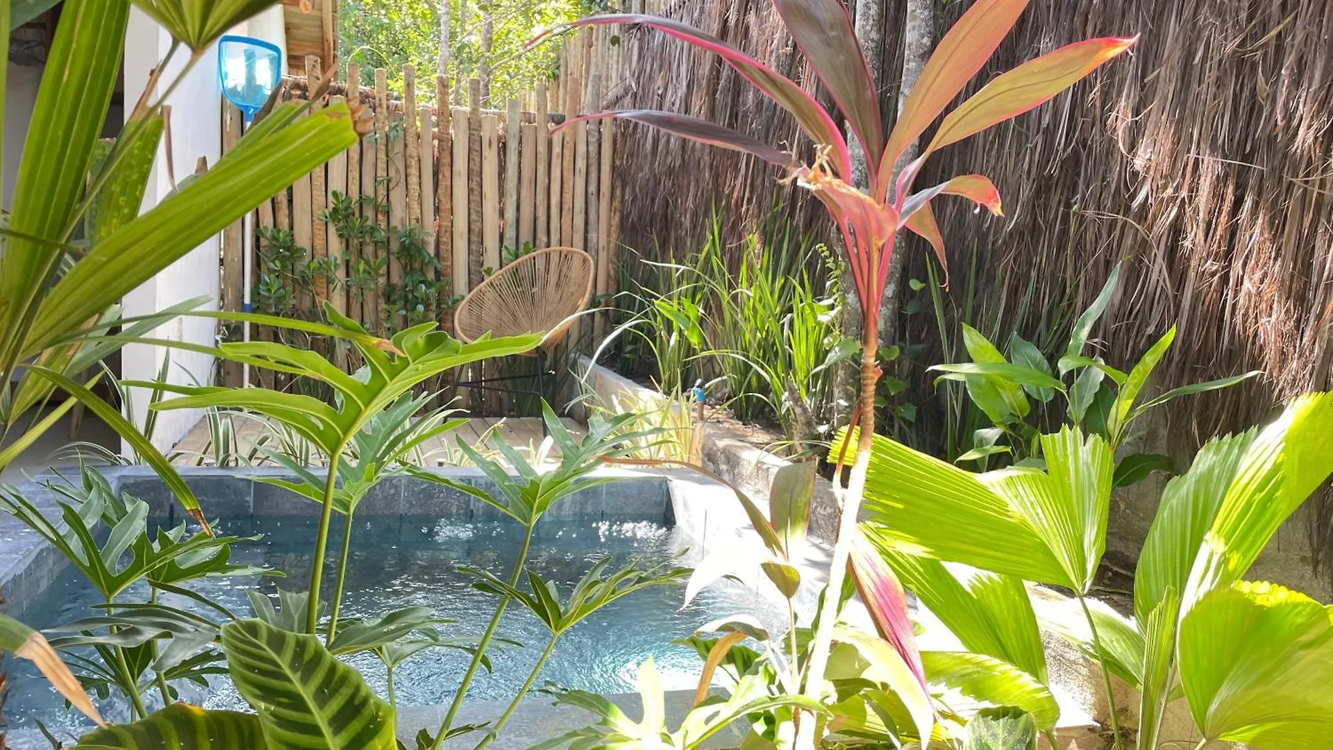 Trancoso Biriba Guest House Hotel